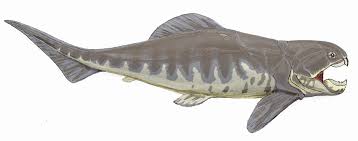 Dunkleosteus intermedius