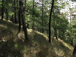 Hradi��sk� vrch u Konstantinov�ch L�zn�