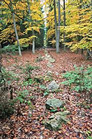 Kounovsk� kamenn� �ady