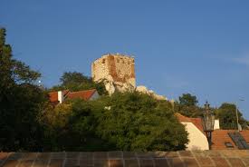 Koz� Hr�dek u Mikulova