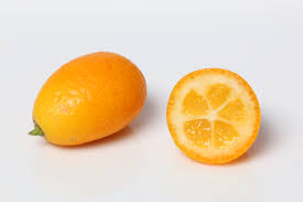 Kumquat