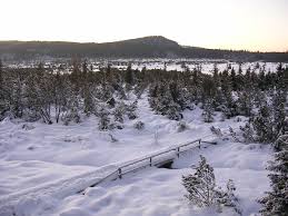 Mrazov� kotlina Jezern� sla� na �umav�