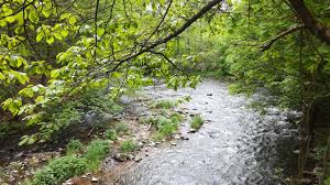 �esk� �eka Metuje