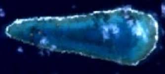 Ostrov Okino Tori�ima