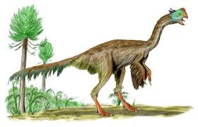 Oviraptosaur Gigantoraptor erlianensis