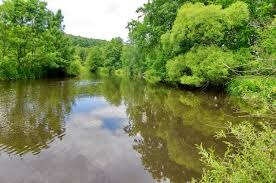 P��rodn� rezervace Rathsam