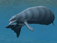 Basilosaurus