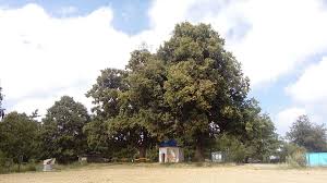 Vrch Baldov s kapli�kou