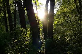 Soumrak na konci dne