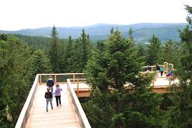 Stezka v korun�ch strom� Lipno nad Vltavou