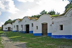 Vinn� sklepy Pl�e Petrov na Morav�